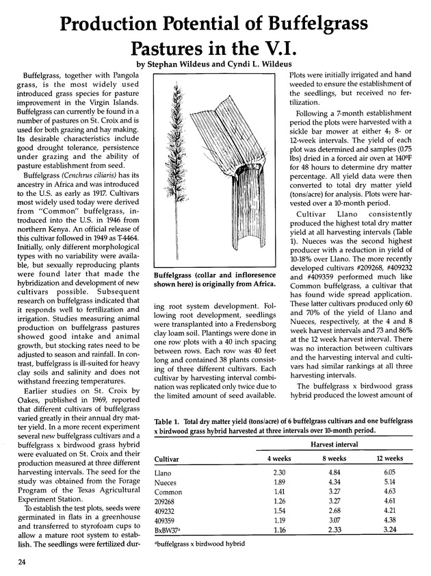 Island perspectives. Vol. 3. - Page 24