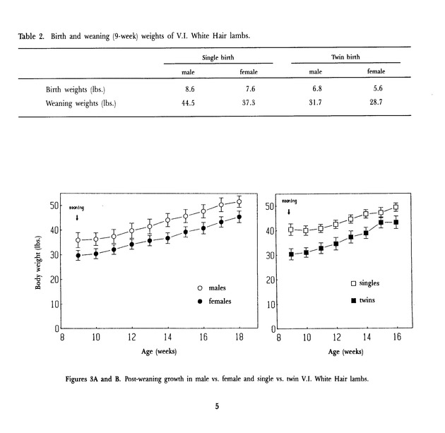 Virgin Islands perspective : V.I.P. : agricultural research notes. Vol. 2. Num. 1. - Page 5