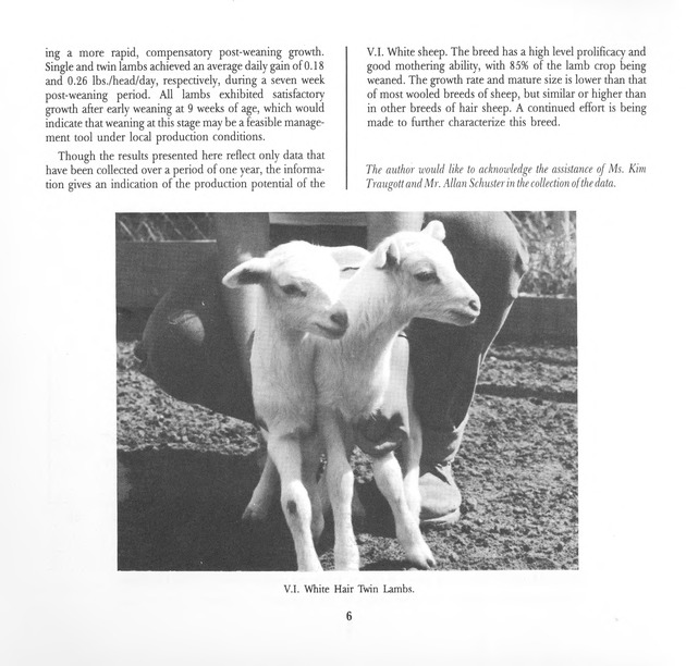 Virgin Islands perspective : V.I.P. : agricultural research notes. Vol. 2. Num. 1. - Page 6