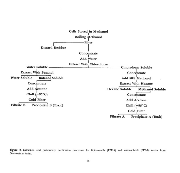 Virgin Islands perspective : V.I.P. : agricultural research notes. Vol. 2. Num. 1. - Page 14