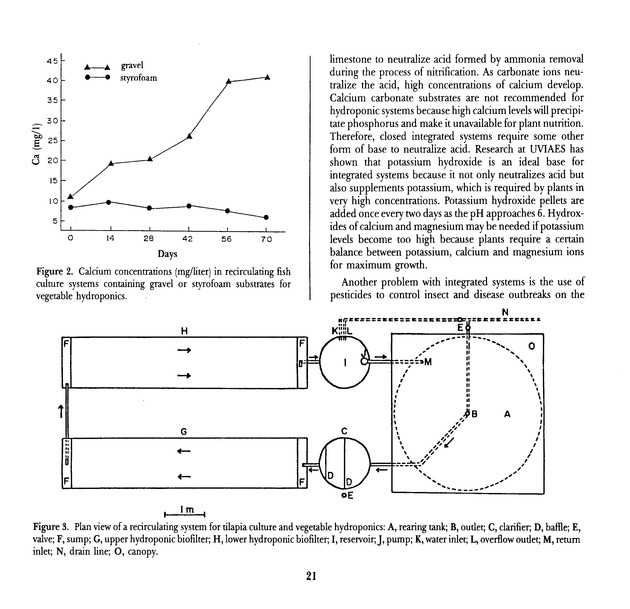 Virgin Islands perspective : V.I.P. : agricultural research notes. Vol. 2. Num. 1. - Page 21