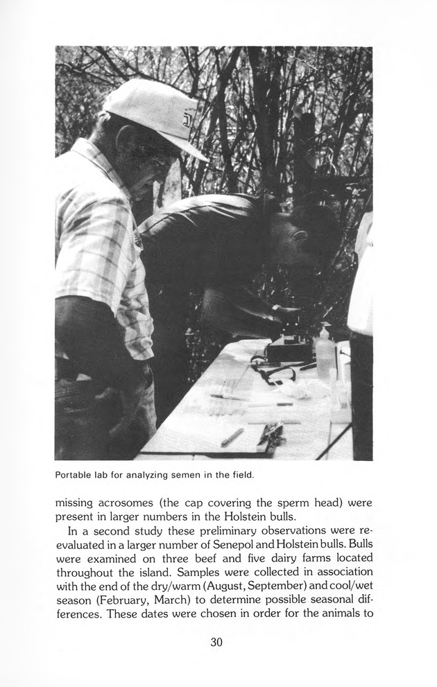 Virgin Islands perspective : V.I.P. : agricultural research notes. Vol. 2. No. 2. - Page 30