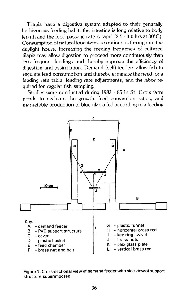 Virgin Islands perspective : V.I.P. : agricultural research notes. Vol. 2. No. 2. - Page 36