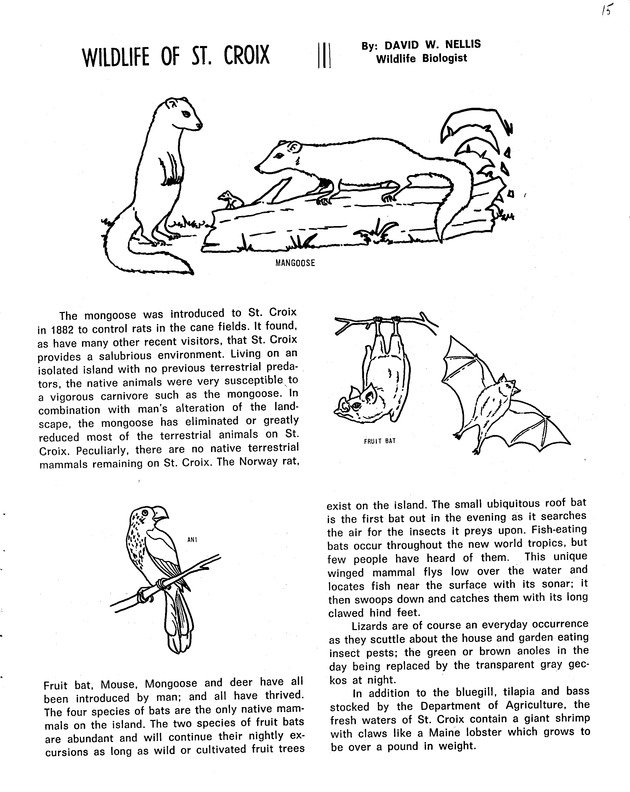 Agriculture and food fair of St. Croix, Virgin Islands 1971 - Page 16