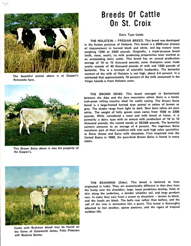 Agriculture and food fair of St. Croix, Virgin Islands 1972 - Page 31