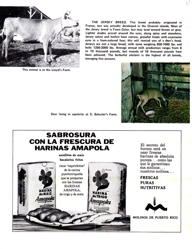 Agriculture and food fair of St. Croix, Virgin Islands 1972 - Page 32