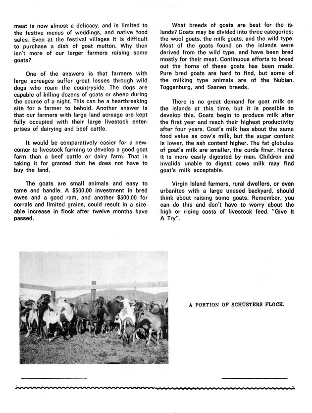 Agriculture and food fair of St. Croix, Virgin Islands 1973 - Page 26