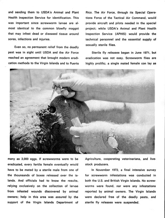 Agriculture and food fair of St. Croix, Virgin Islands 1973 - Page 38