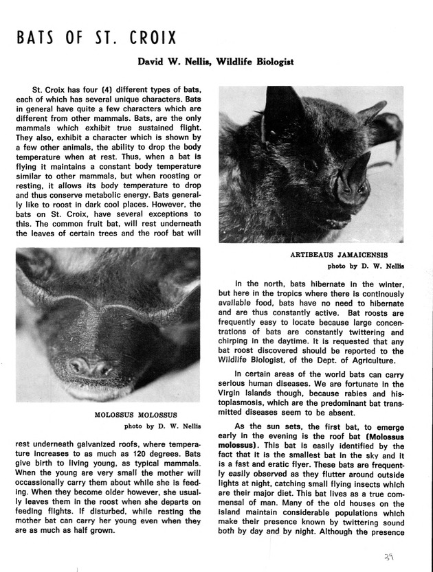 Agriculture and food fair of St. Croix, Virgin Islands 1973 - Page 40