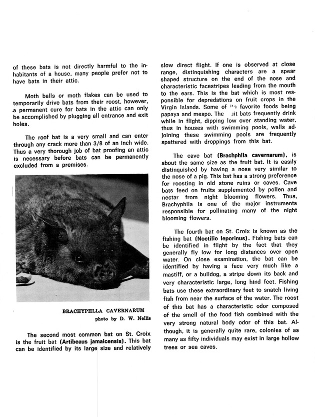 Agriculture and food fair of St. Croix, Virgin Islands 1973 - Page 41