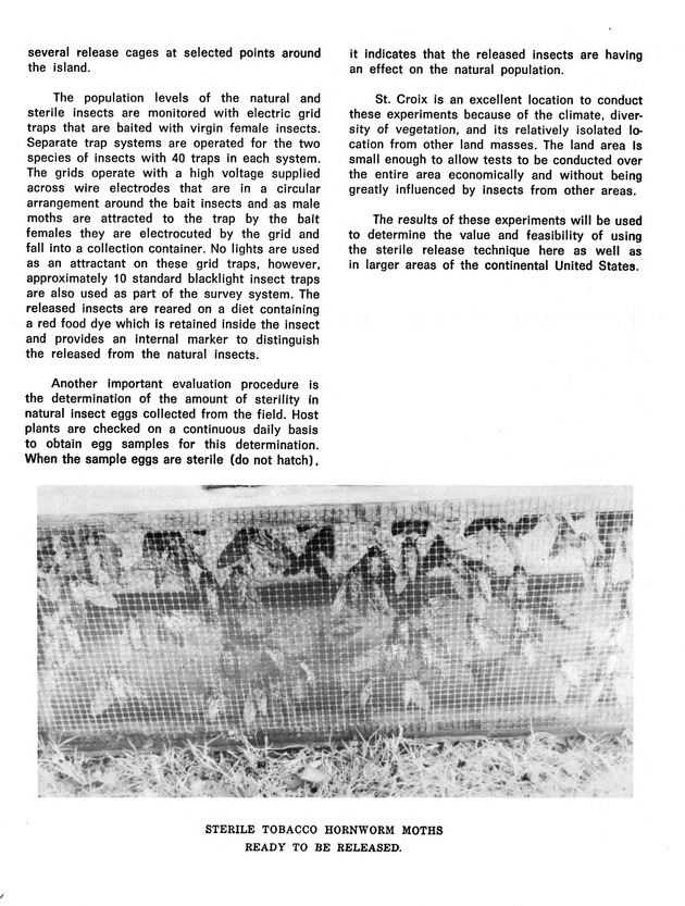 Agriculture and food fair of St. Croix, Virgin Islands 1973 - Page 48