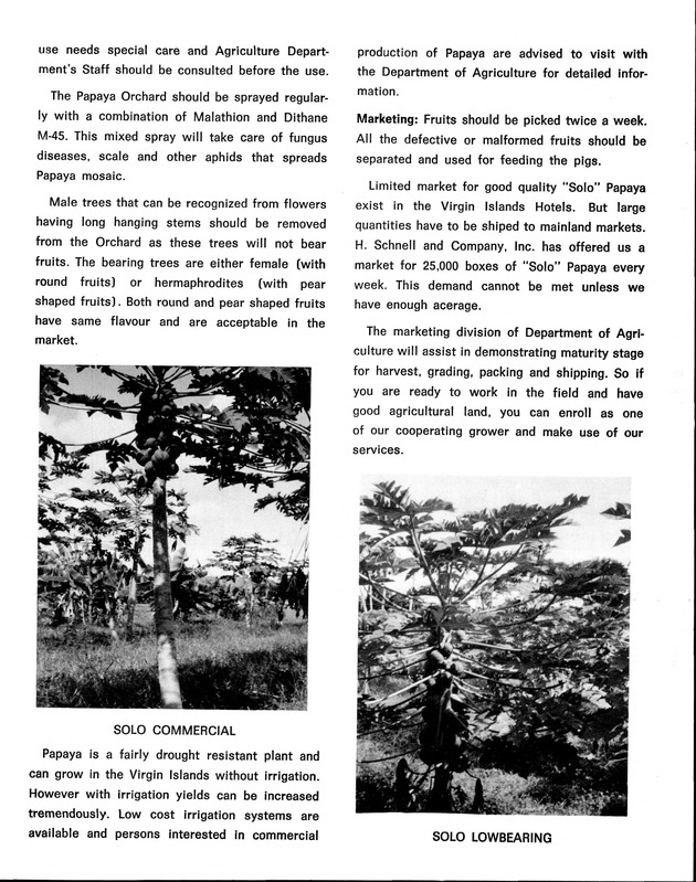 St. Croix Agriculture and food fair 1974 - Page 16