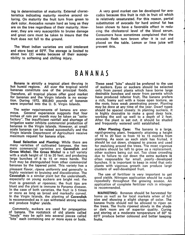 St. Croix Agriculture and food fair 1974 - Page 19