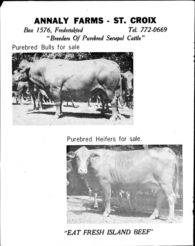 Virgin Islands Agriculture and food fair 1975 - Page 7