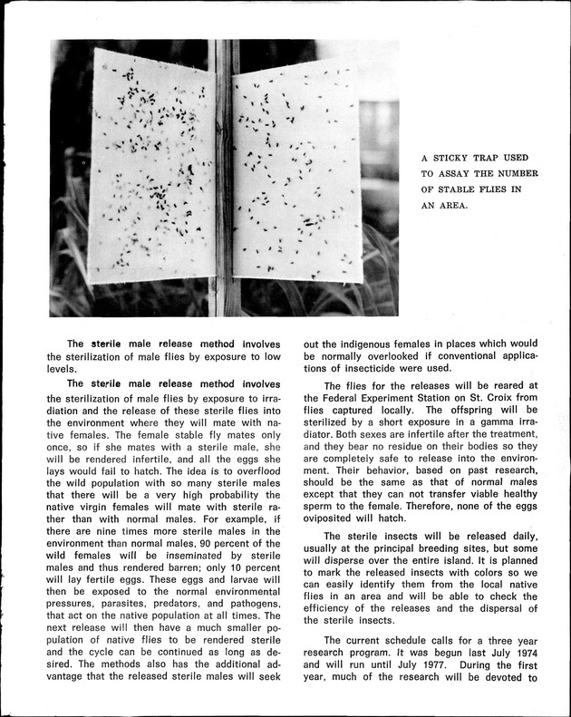 Virgin Islands Agriculture and food fair 1975 - Page 54