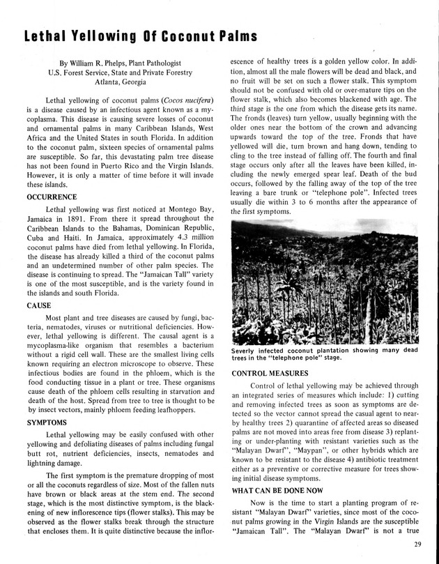 7th Annual Agriculture and food fair of the Virgin Islands 1977. - Page 29