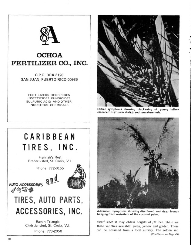 7th Annual Agriculture and food fair of the Virgin Islands 1977. - Page 30