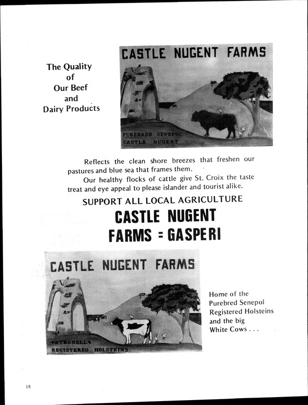 8th Annual Agriculture and food fair of the Virgin Islands 1978 - Page 19