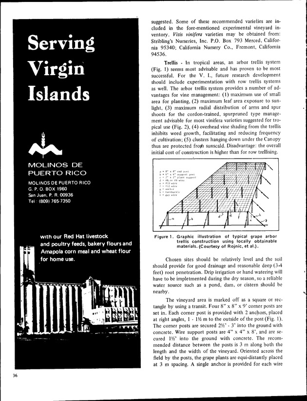 8th Annual Agriculture and food fair of the Virgin Islands 1978 - Page 36