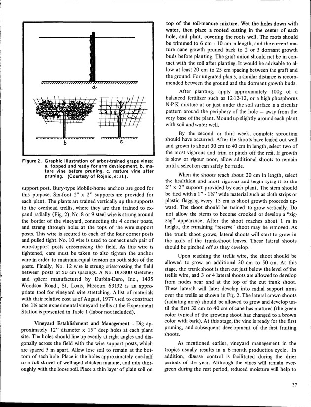 8th Annual Agriculture and food fair of the Virgin Islands 1978 - Page 37