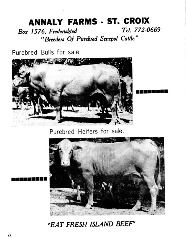 9th Annual Agriculture and food fair of the Virgin Islands1979. - Page 59