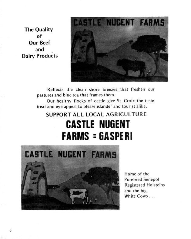 10th Annual Agriculture and food fair of the Virgin Islands 1980. - Page 3