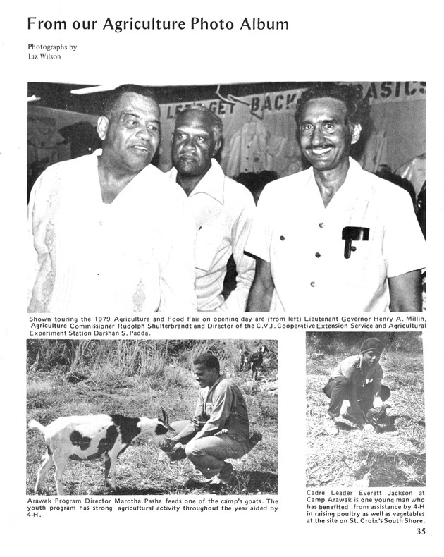 10th Annual Agriculture and food fair of the Virgin Islands 1980. - Page 36