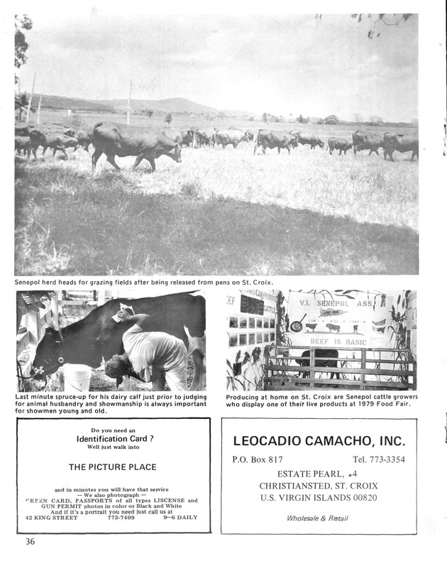 10th Annual Agriculture and food fair of the Virgin Islands 1980. - Page 37