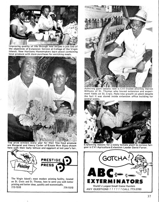 10th Annual Agriculture and food fair of the Virgin Islands 1980. - Page 38