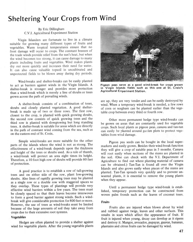 10th Annual Agriculture and food fair of the Virgin Islands 1980. - Page 48