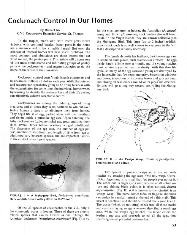 10th Annual Agriculture and food fair of the Virgin Islands 1980. - Page 54