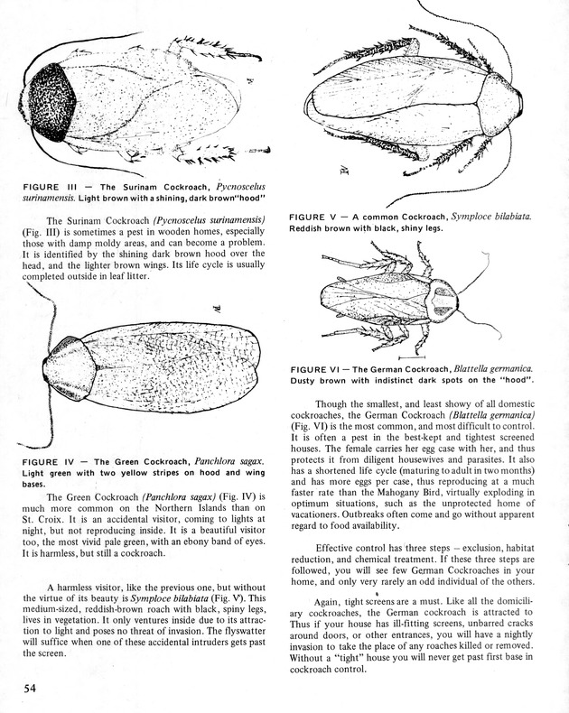 10th Annual Agriculture and food fair of the Virgin Islands 1980. - Page 55