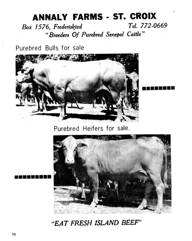 10th Annual Agriculture and food fair of the Virgin Islands 1980. - Page 71