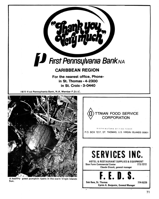 10th Annual Agriculture and food fair of the Virgin Islands 1980. - Page 72