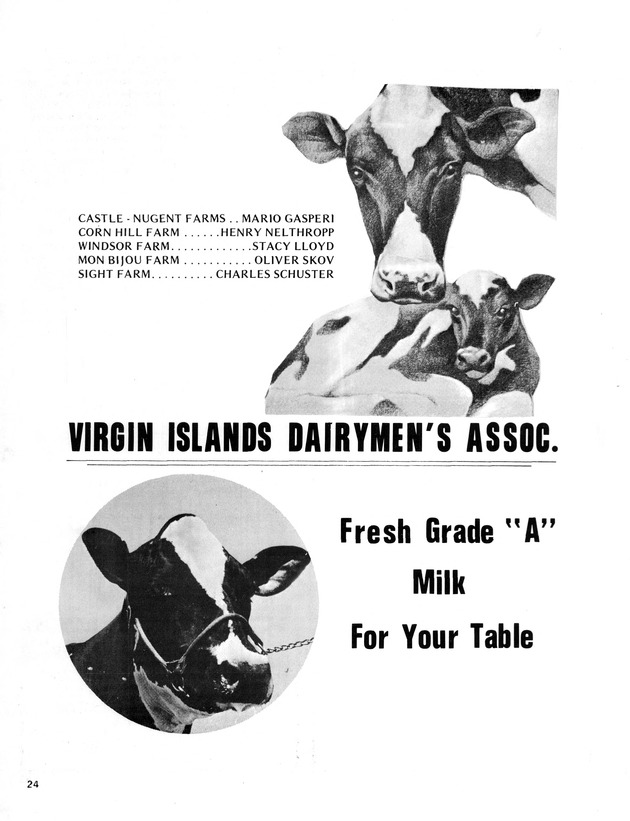 11th Annual Agriculture and food fair of the Virgin Islands 1981. - Page 25