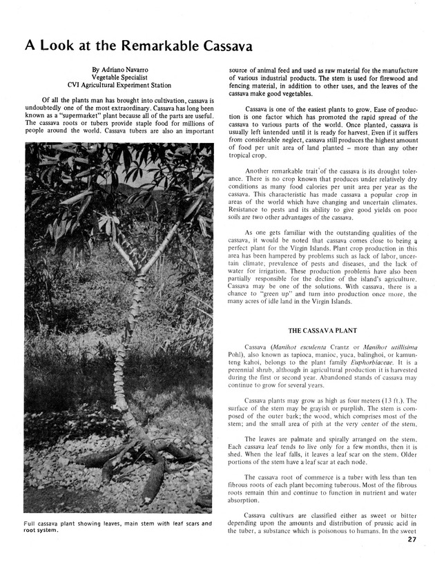 11th Annual Agriculture and food fair of the Virgin Islands 1981. - Page 28