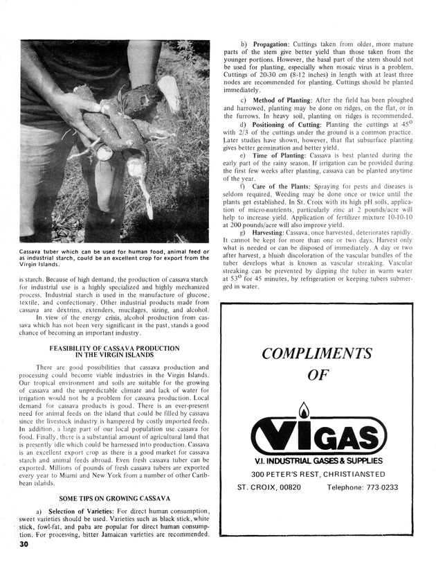 11th Annual Agriculture and food fair of the Virgin Islands 1981. - Page 31