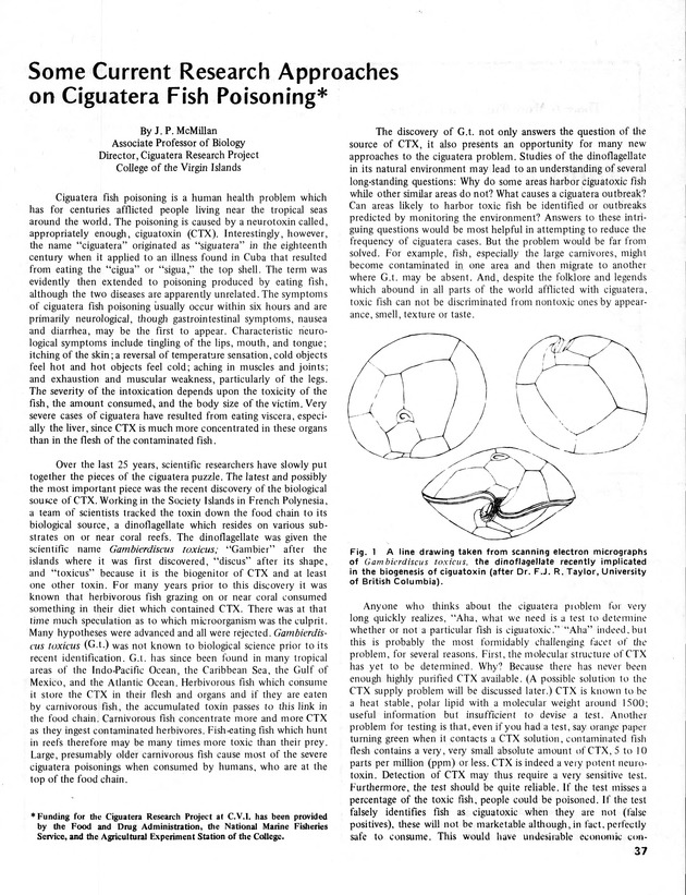 11th Annual Agriculture and food fair of the Virgin Islands 1981. - Page 38