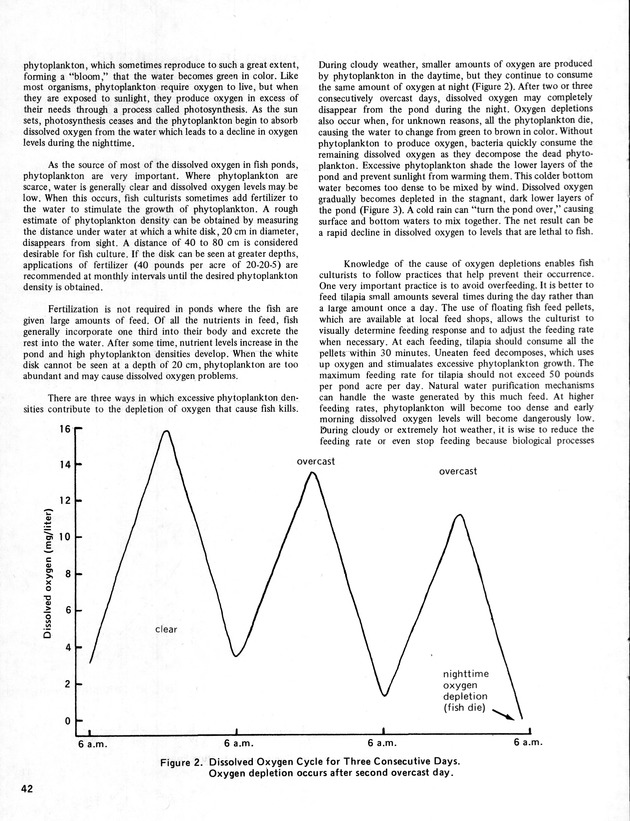 11th Annual Agriculture and food fair of the Virgin Islands 1981. - Page 43