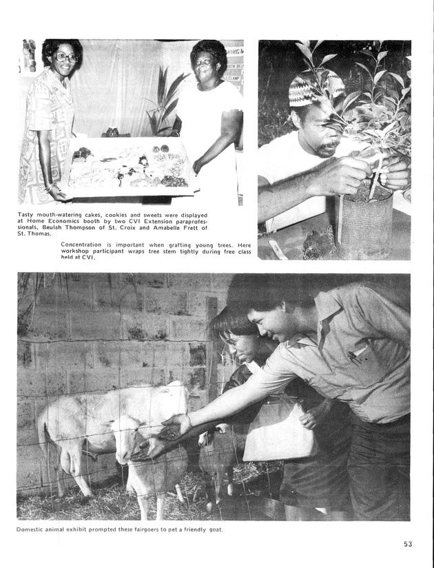 11th Annual Agriculture and food fair of the Virgin Islands 1981. - Page 54