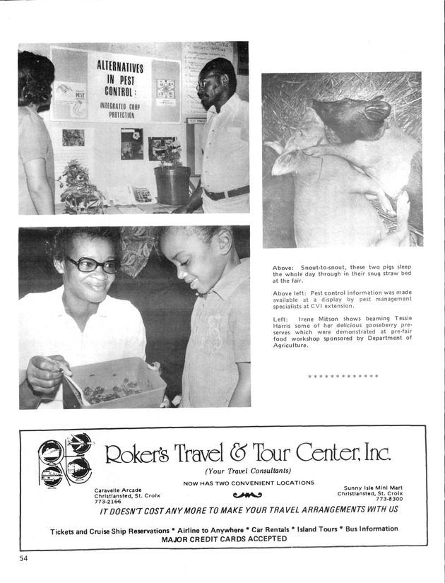 11th Annual Agriculture and food fair of the Virgin Islands 1981. - Page 55