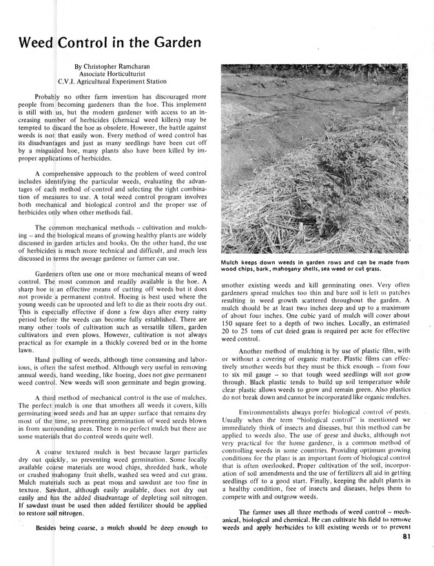 11th Annual Agriculture and food fair of the Virgin Islands 1981. - Page 82