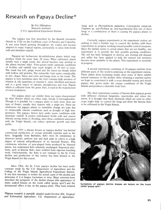 11th Annual Agriculture and food fair of the Virgin Islands 1981. - Page 86