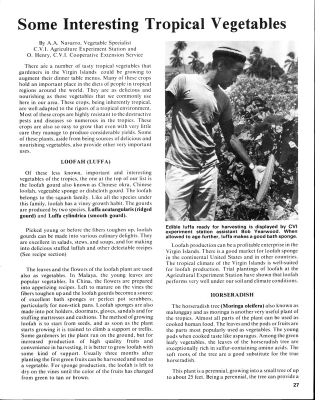 12th Annual Agriculture and food fair of the Virgin Islands 1982. - Page 28