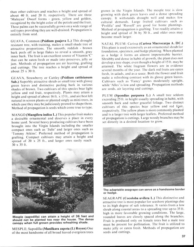 12th Annual Agriculture and food fair of the Virgin Islands 1982. - Page 38