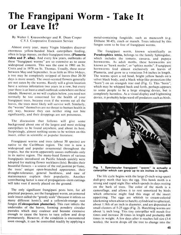 12th Annual Agriculture and food fair of the Virgin Islands 1982. - Page 46