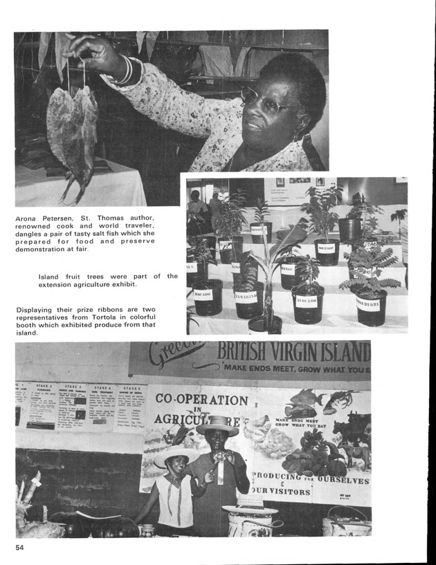 12th Annual Agriculture and food fair of the Virgin Islands 1982. - Page 55