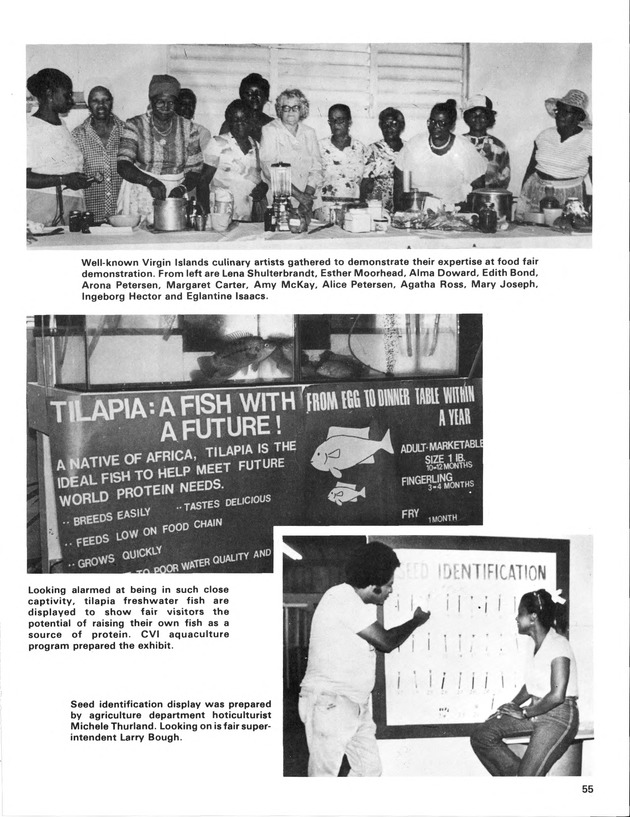 12th Annual Agriculture and food fair of the Virgin Islands 1982. - Page 56