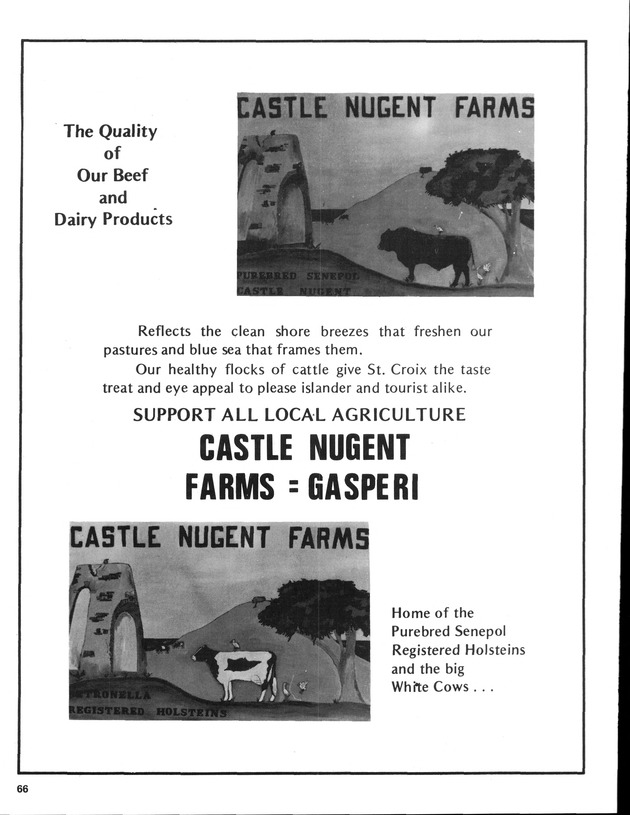 12th Annual Agriculture and food fair of the Virgin Islands 1982. - Page 67