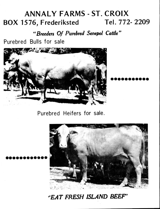 12th Annual Agriculture and food fair of the Virgin Islands 1982. - Page 90